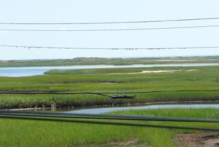 Photo of real estate for sale located at 75 Province Lands Rd Provincetown, MA 02657