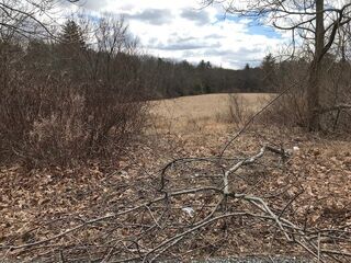 Photo of real estate for sale located at 1139 West Street Wrentham, MA 02093