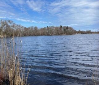 Photo of real estate for sale located at 32 Locust Road Orleans, MA 02653